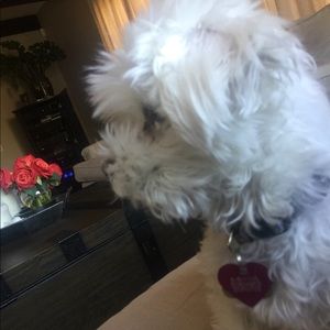 Meet your Posher, Anna